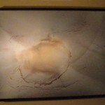 img5899