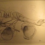 img5917