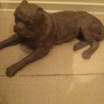 img5968