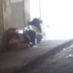 homeless-belongings