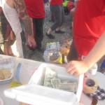 img7162