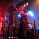 bonobo