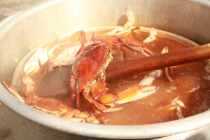 Are you ready for a bushel of blue crab? Are you ready for a bushel of blue crab?